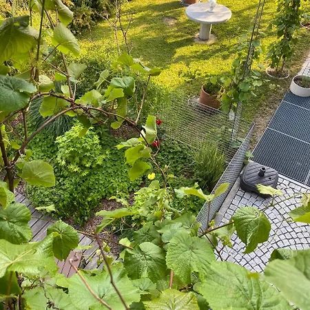 Holidayhome Omyxl Appartement *