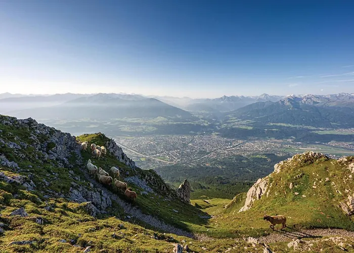 Omyxl Апартаменты *